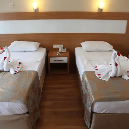 洛尼塞拉城市酒店 酒店 3*