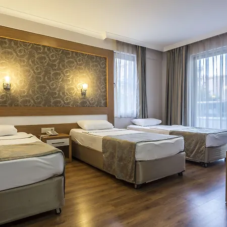 洛尼塞拉城市酒店 酒店 3*