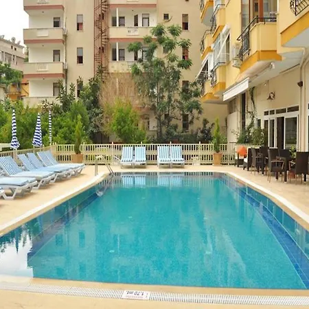 Lonicera Alanya