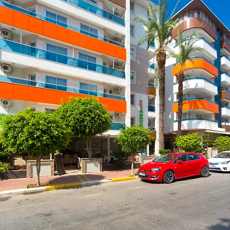 Lonicera Alanya